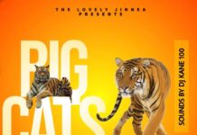 Big Cats Energy 4 is BACK! A fundraiser showcase – Brought to us by The Lovely Jinnea